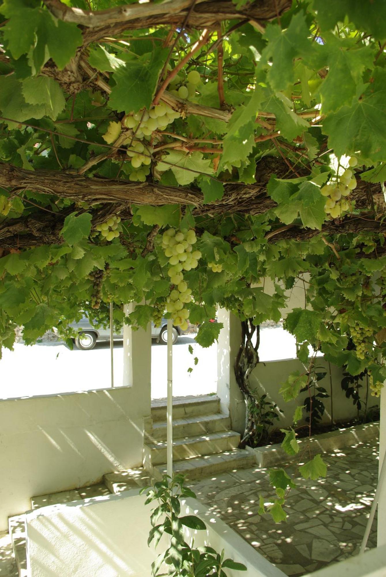 Sulo Pension Patara Exterior photo